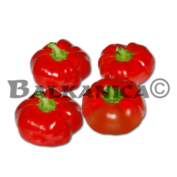 RED PEPPERS FRESH QUALITY I