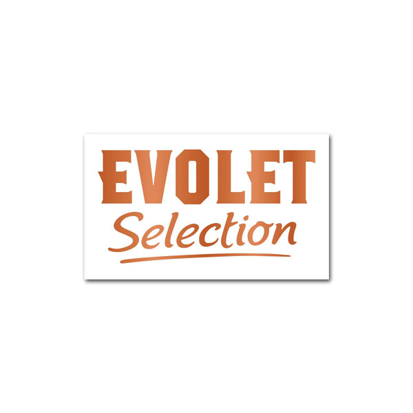 ЕВОЛЕТ