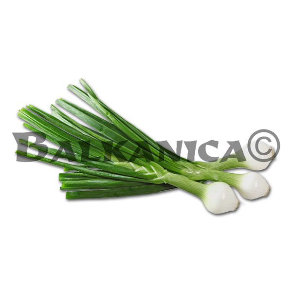 80 G CEAPA VERDE CALITATEA I 80 G CEAPA VERDE CALITATEA I