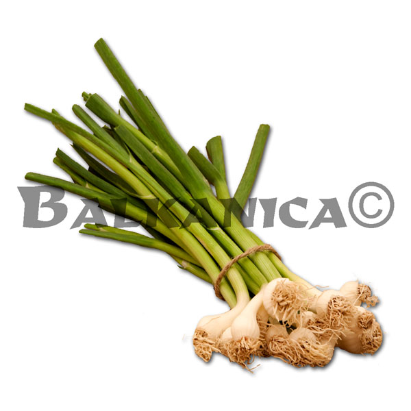 150 G USTUROI VERDE CALITATEA I 150 G USTUROI VERDE CALITATEA I