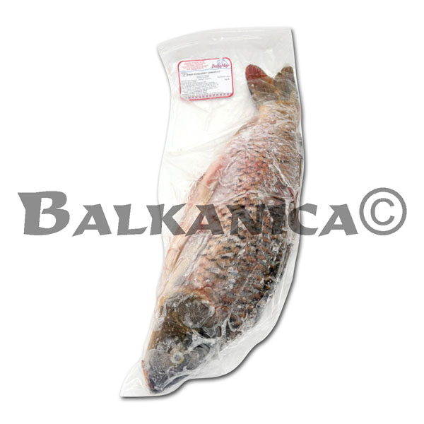 CARPE VIDE DELTA MAR









